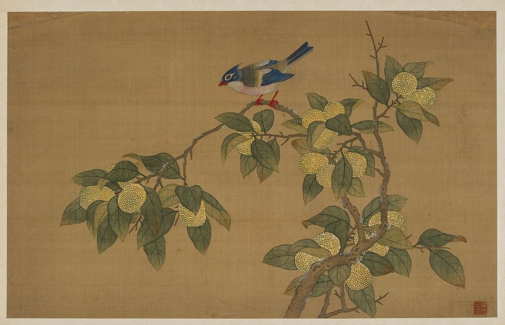 Bird and Fruit, Wu Zhang
