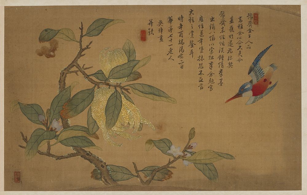 Bird, Fruit, and Flowers, Wu Zhang