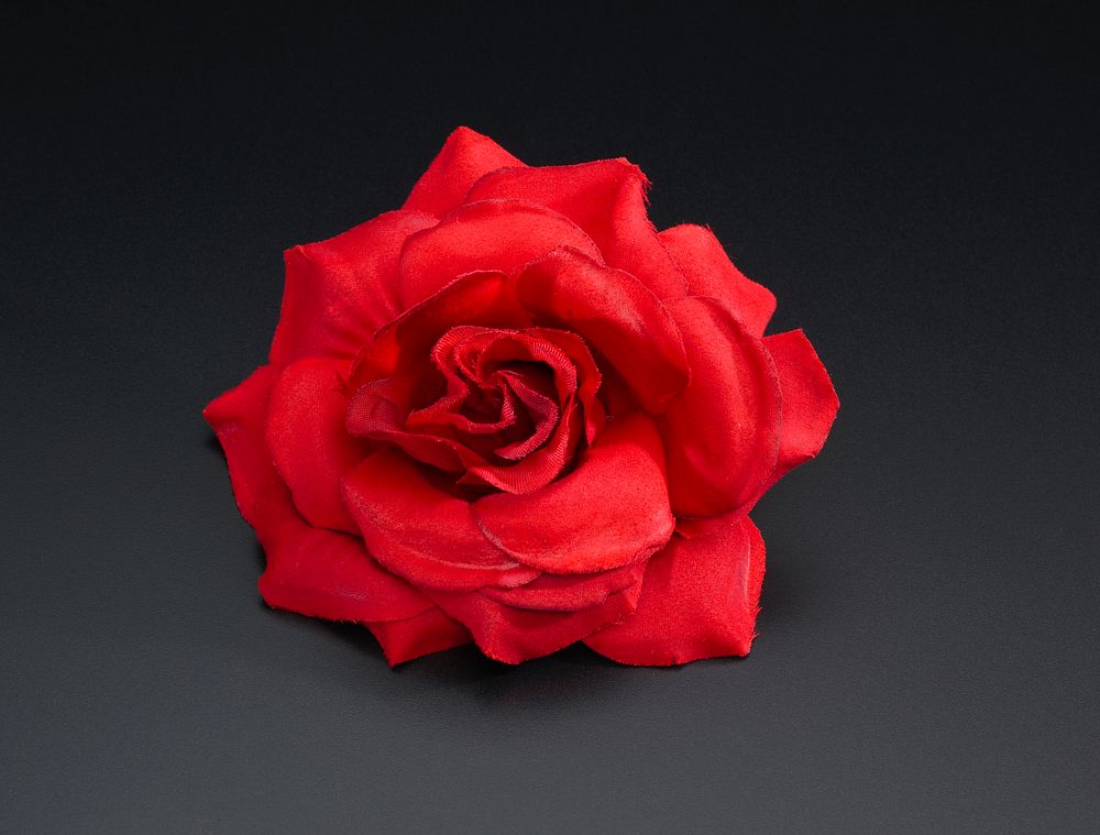 Silk rose worn by Marion Evans at the 2016 Democratic National Convention, National Museum of African American History and…