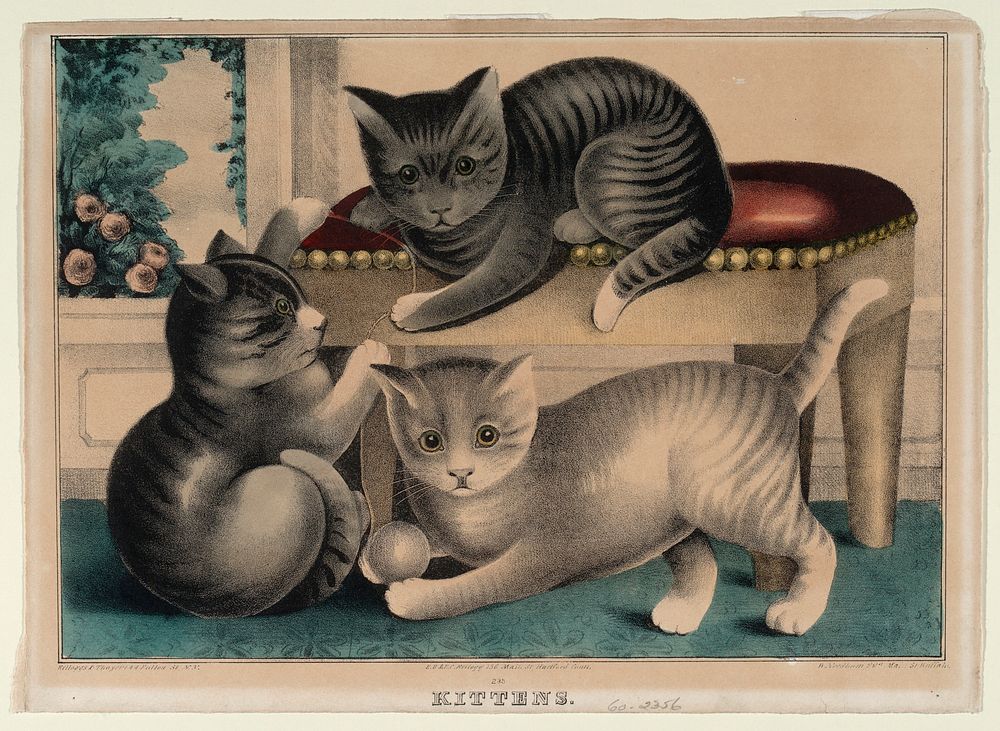Kittens, Smithsonian National Museum of African Art