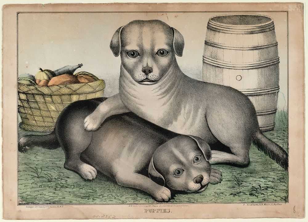 Puppies, Smithsonian National Museum of African Art