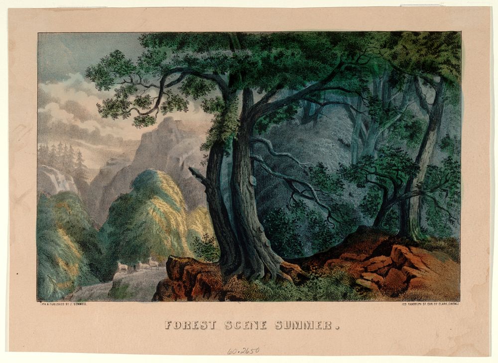 Forest Scene Summer, Smithsonian National Museum of African Art