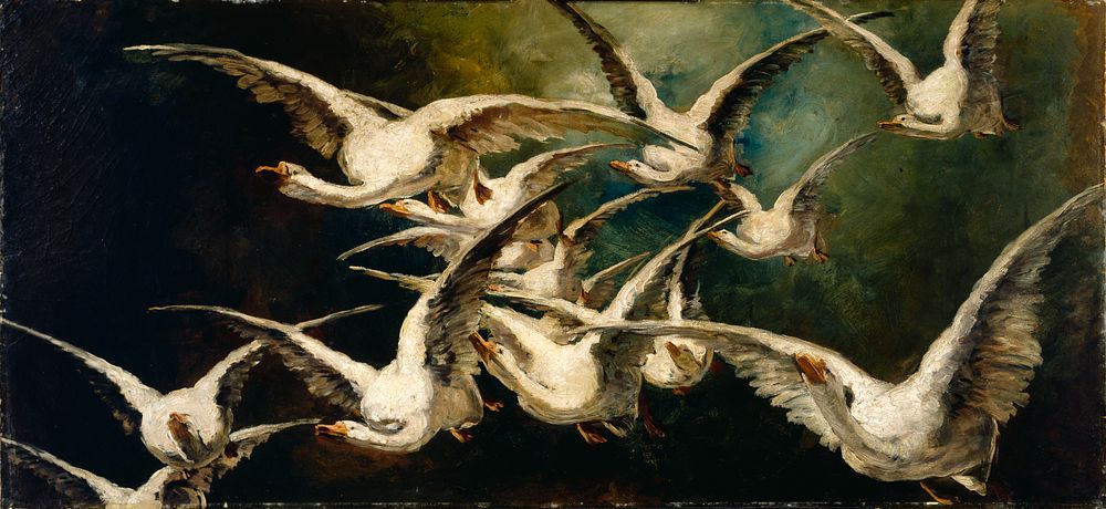 Flock of Geese, Elizabeth Nourse