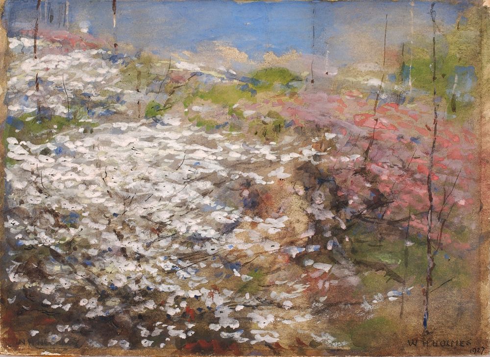 Field of Blossoms, William Henry Holmes
