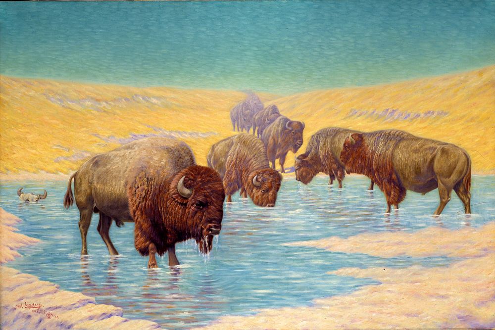 Buffalo Scene, Emil W. Lenders
