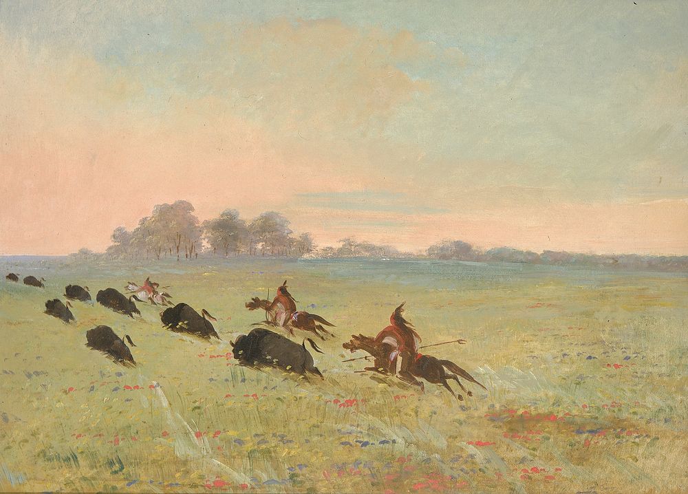 Comanche Indians Chasing Buffalo by George Catlin