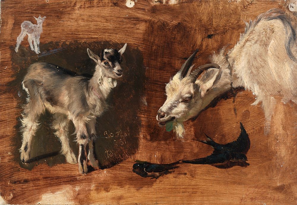 Goats, Eliphalet Fraser Andrews