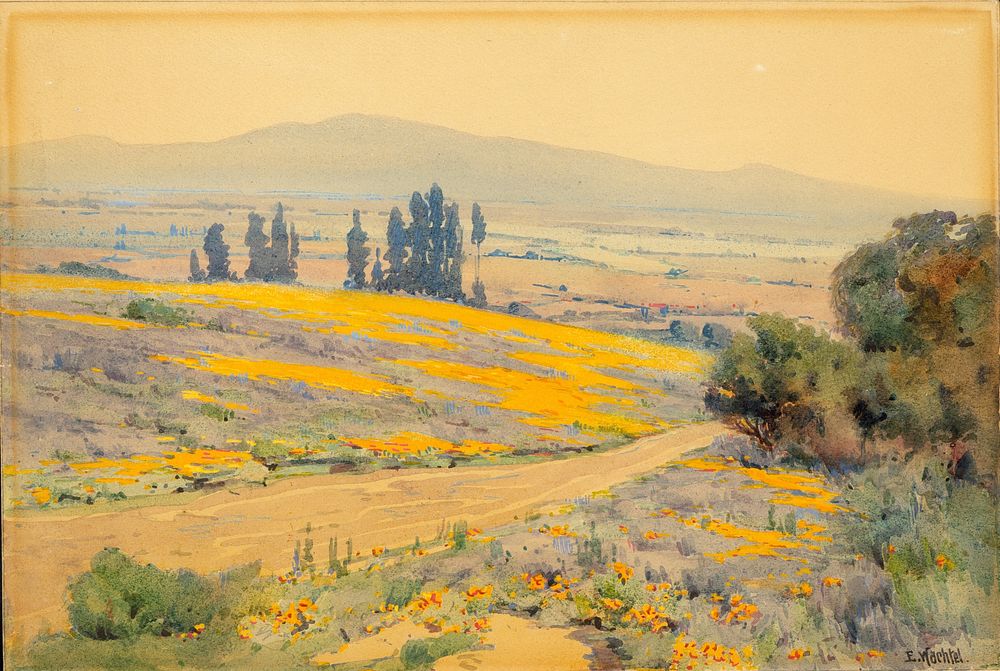 California Spring Landscape, Elmer Wachtel
