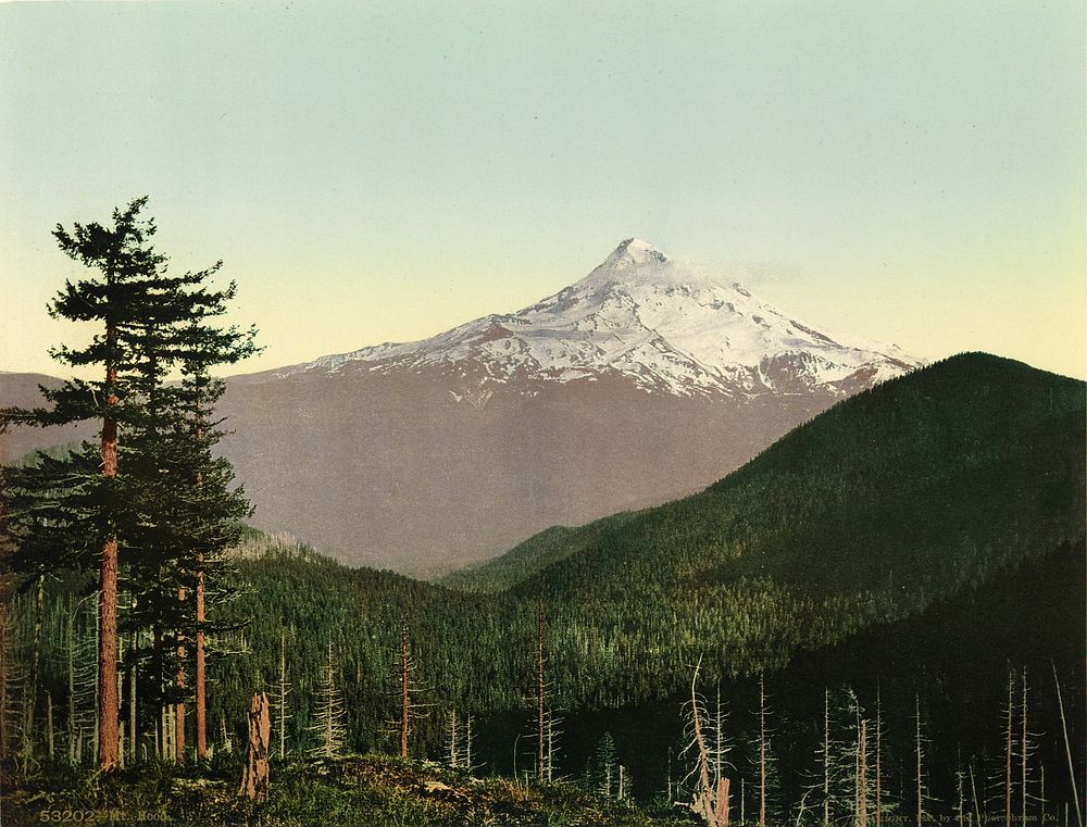 Mt. Hood