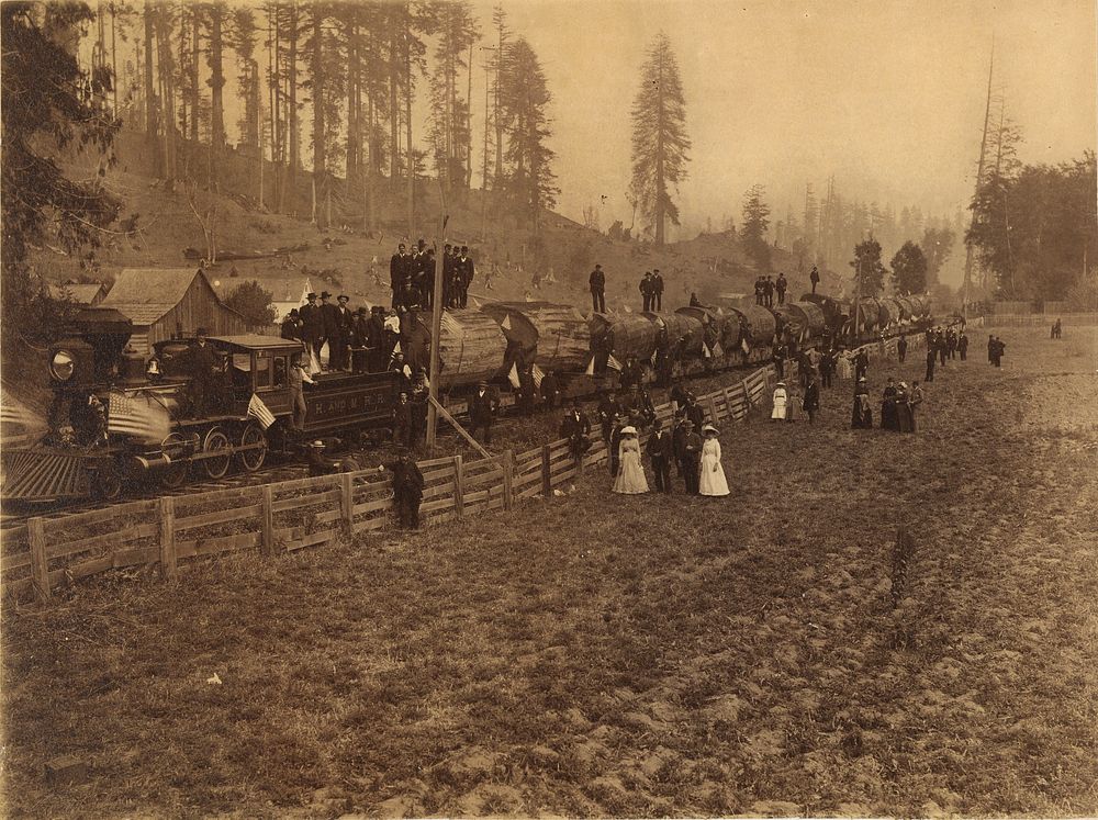 Train Load of Logs Measuring 88,568 Feet