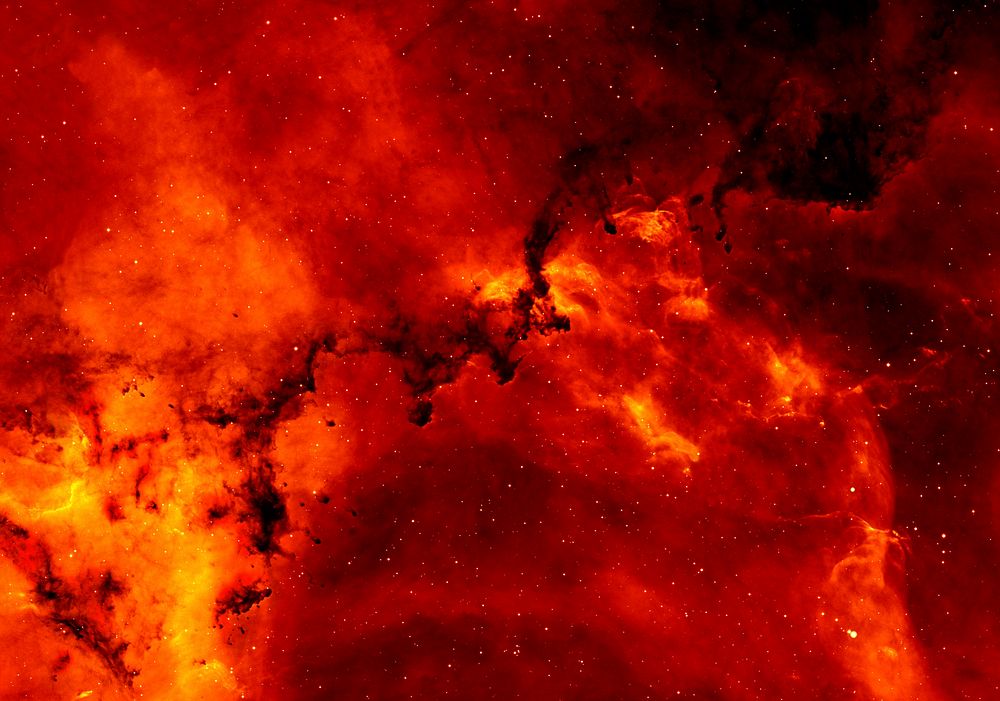 A close up view of the Rosette Nebula. The red color comes from Hydrogen.
