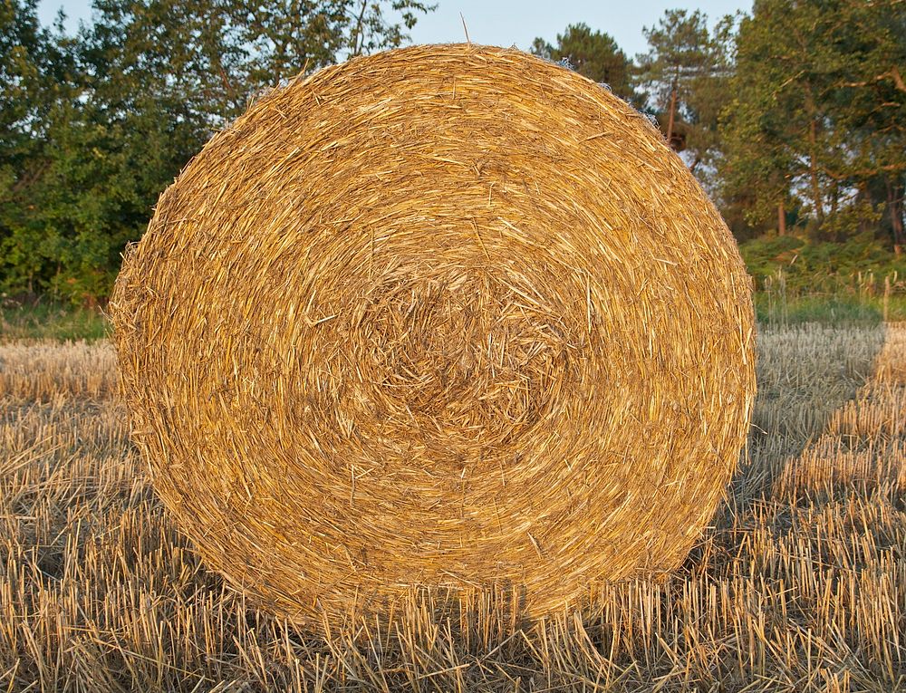 A round straw bale in a field in Dordogne, summer evening light.