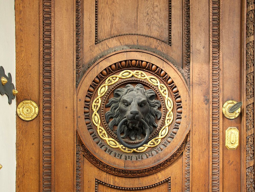 Head of a lion, detail of a wooden door in Vienna, Austria.