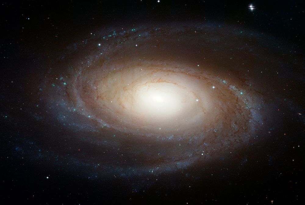 The spiral galaxy Messier 81 is tilted at an oblique angle on to our line of sight, giving a "birds-eye view" of the spiral…