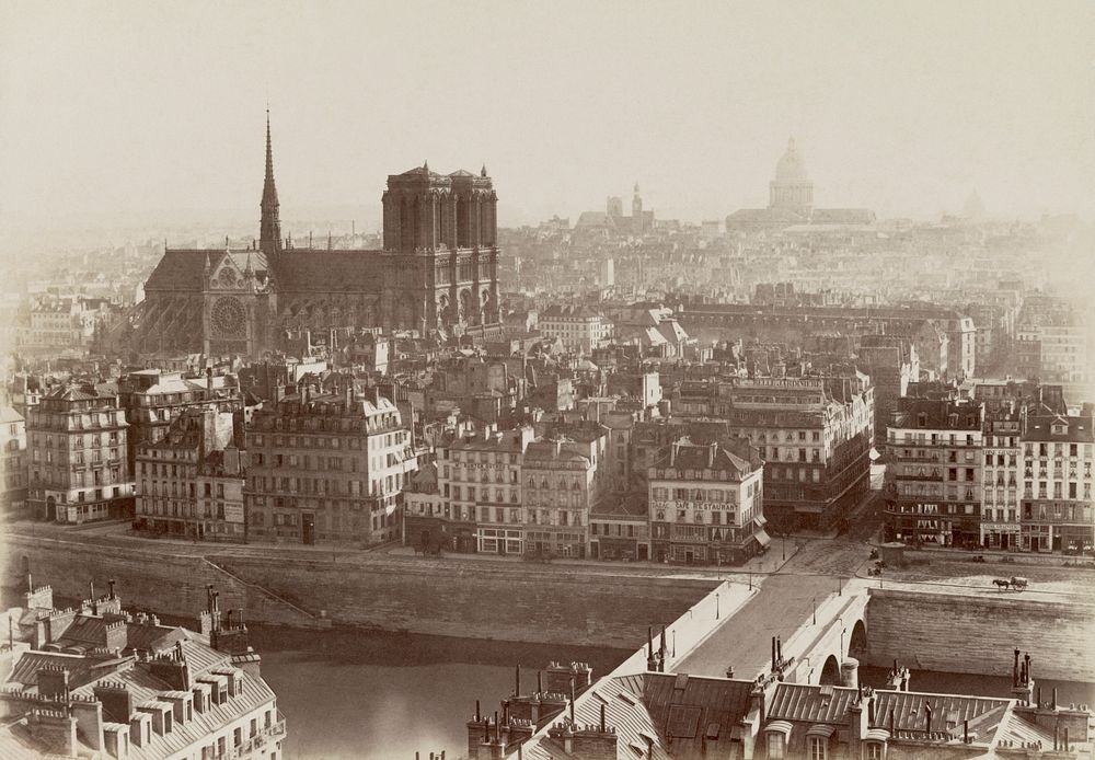 Photograph shows view of Notre-Dame de Paris rising above Ile de la Cité.