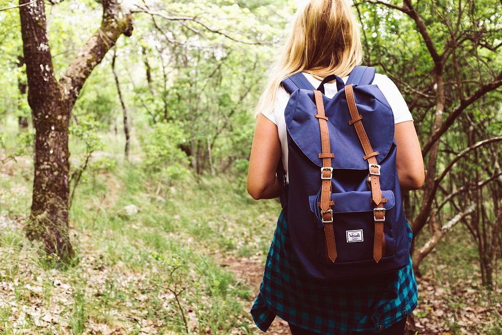 Woman Hiker Hiking On Mountain