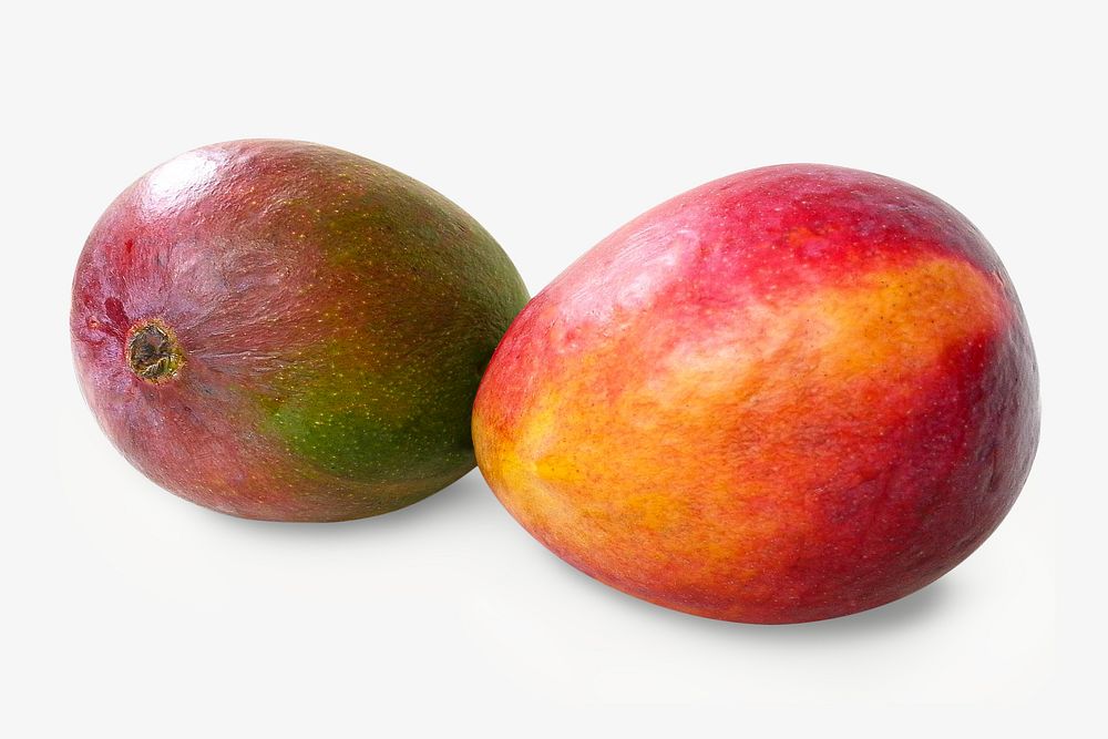 Alphonso mango fruit isolated, off white design