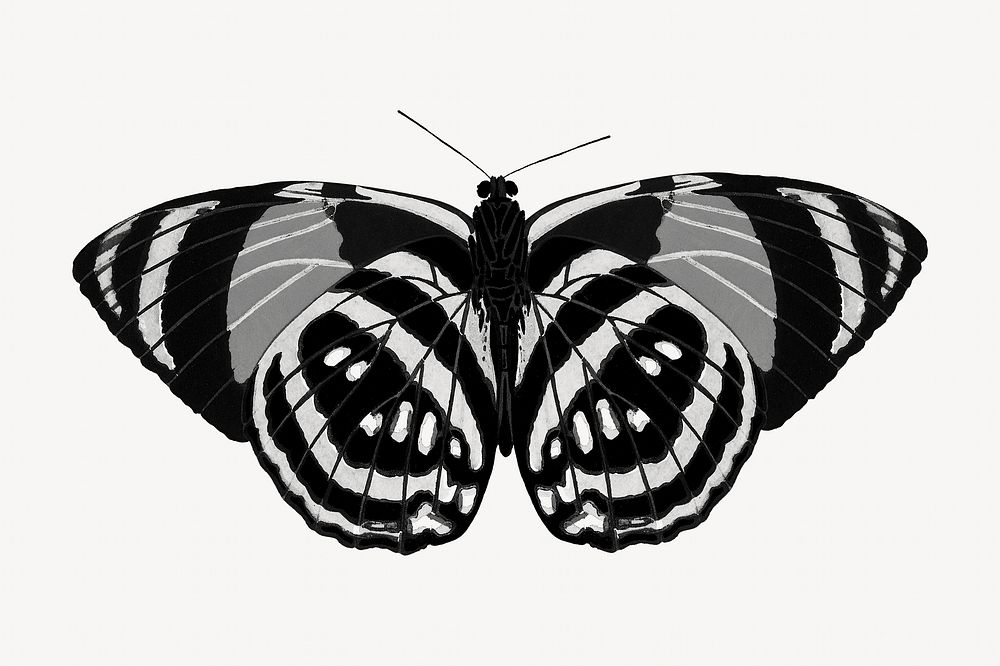 E.A Séguy's vintage butterfly illustration in black and white. Remixed by rawpixel.