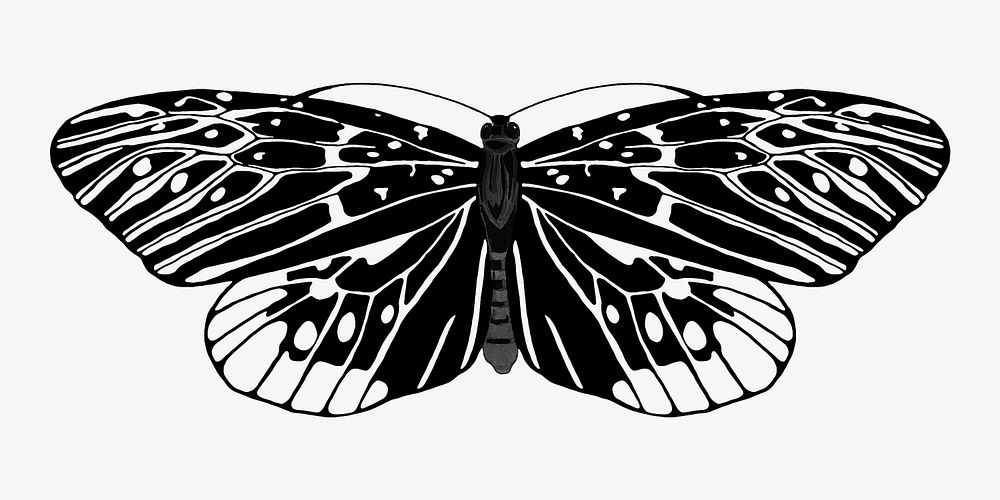 E.A Séguy's vintage butterfly illustration in black and white. Remixed by rawpixel.