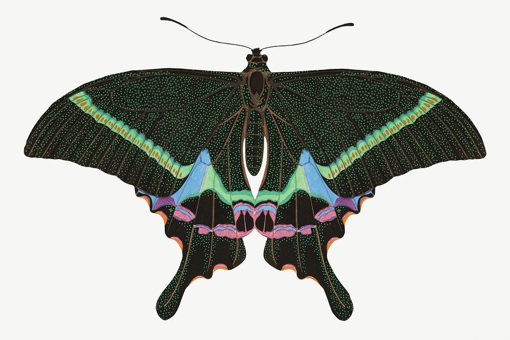 Green butterfly, exotic insect collage element psd. Remixed by rawpixel.