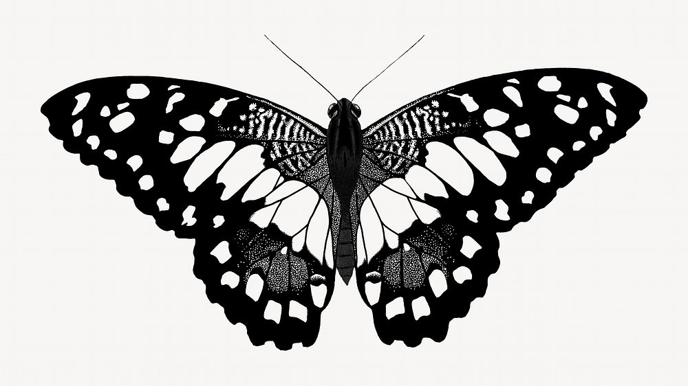 E.A Séguy's vintage butterfly illustration in black and white. Remixed by rawpixel.