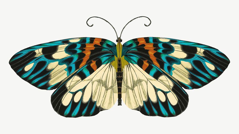Art nouveau butterfly, vintage insect collage element psd. Remixed by rawpixel.