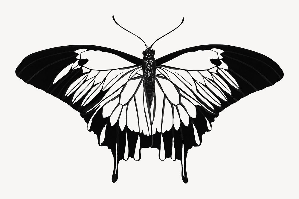 E.A Séguy's vintage butterfly illustration in black and white. Remixed by rawpixel.