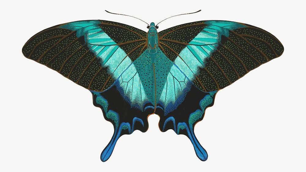 Blue striped butterfly, vintage insect collage element psd. Remixed by rawpixel.