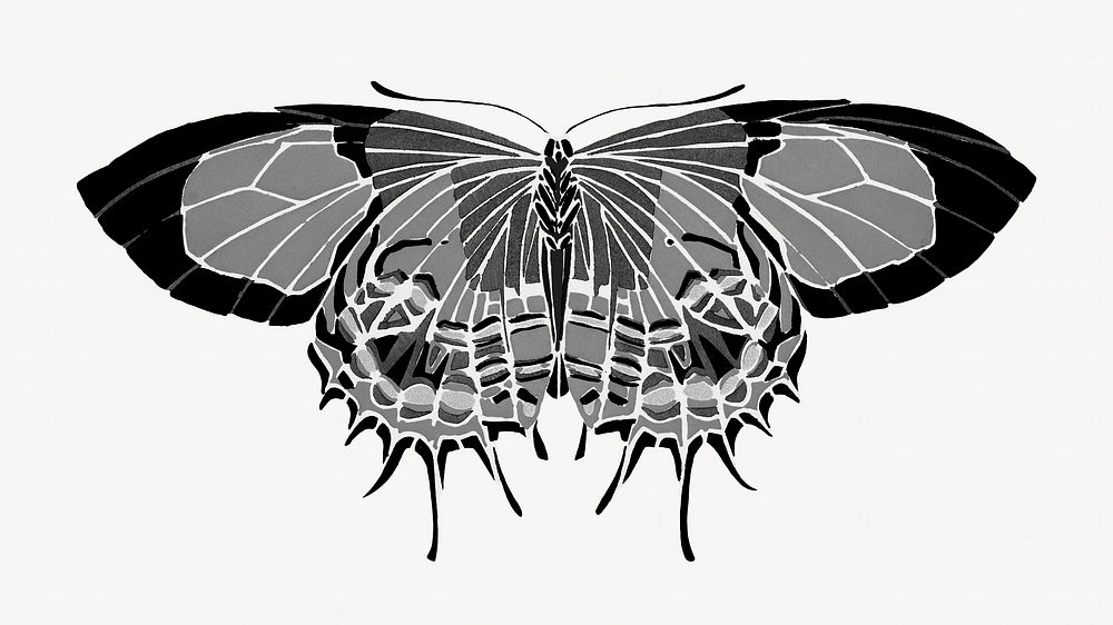 E.A Séguy's vintage butterfly illustration in black and white. Remixed by rawpixel.