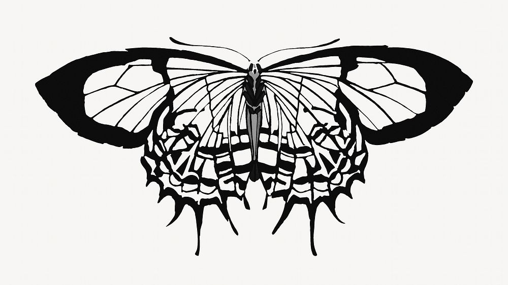 E.A S&eacute;guy's vintage butterfly illustration in black and white. Remixed by rawpixel.