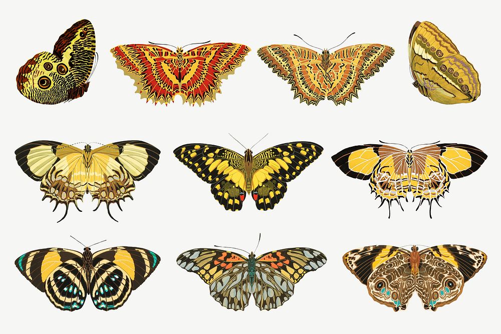 Yellow butterfly, vintage insect collage element set psd. Remixed from the artwork of E.A. Séguy.