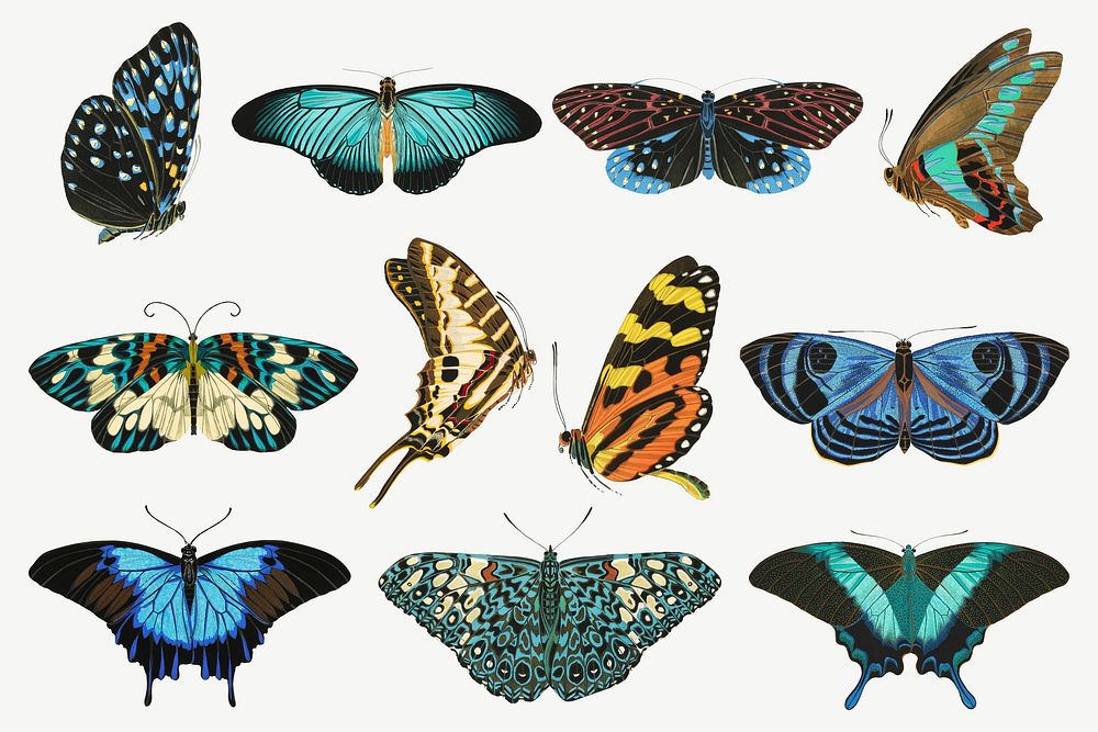 E.A. Séguy's butterfly, vintage insect collage element set psd. Remixed by rawpixel.