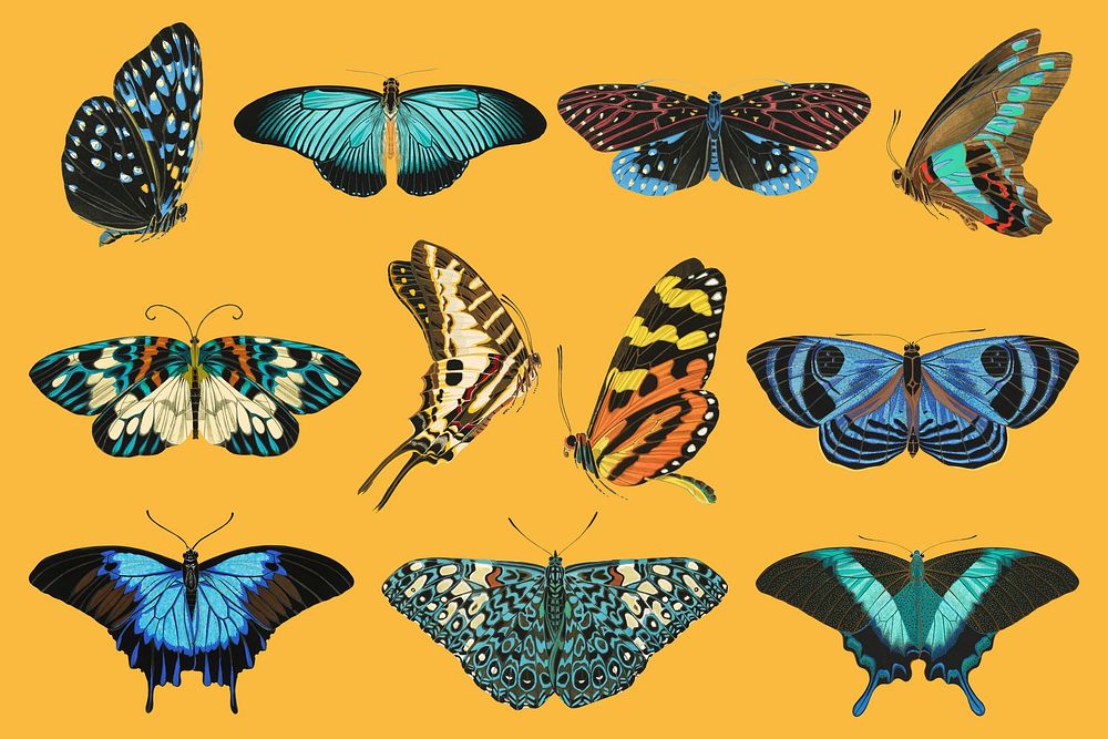 E.A. Séguy's butterfly, vintage insect collage element set psd. Remixed by rawpixel.