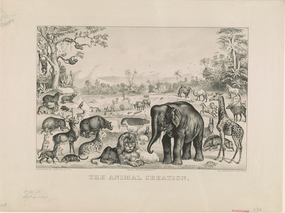 Animal creation (1875) by Currier & Ives