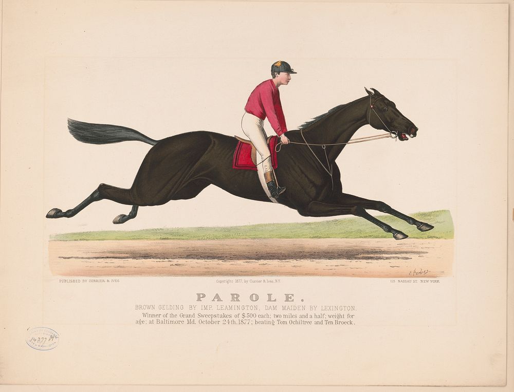 Parole: brown gelding by Imp. Leamington, dam Maiden by Lexington (1877) by Currier & Ives
