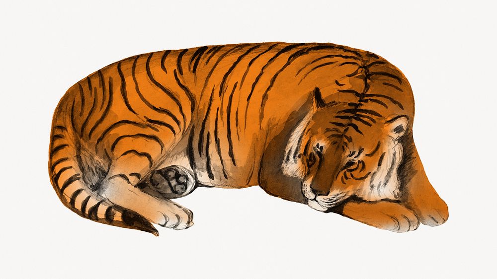 Sleeping tiger desktop wallpaper. Remixed by rawpixel.