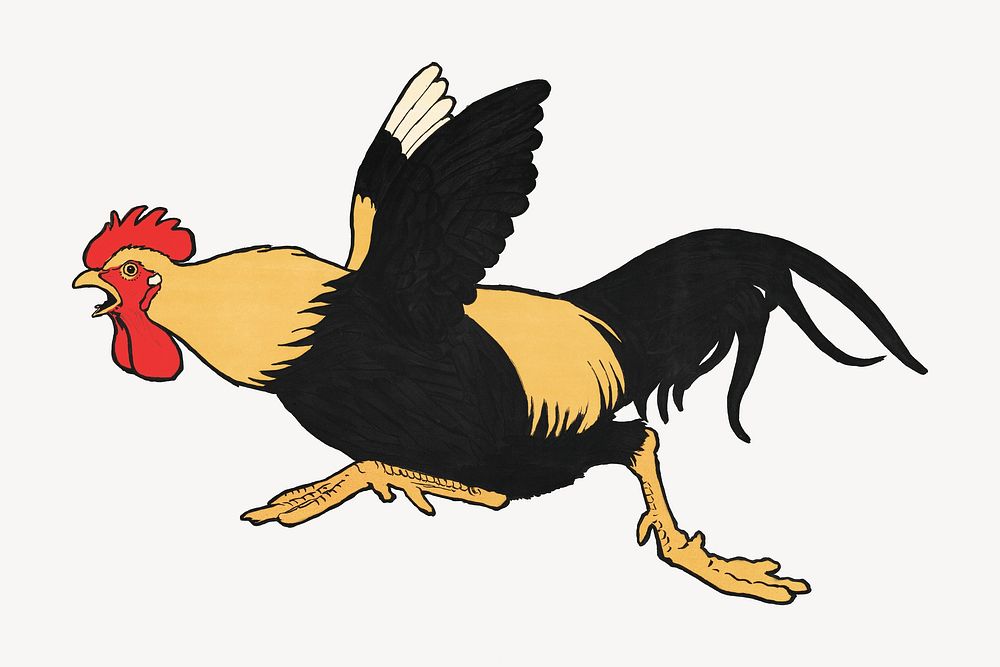 Running rooster, vintage animal illustration.  Remastered by rawpixel