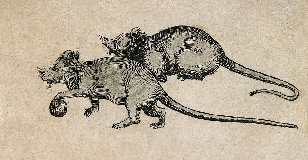 Two Mice (1450-1480). Original public domain image from The Minneapolis Institute of Art. Digitally enhanced by rawpixel.