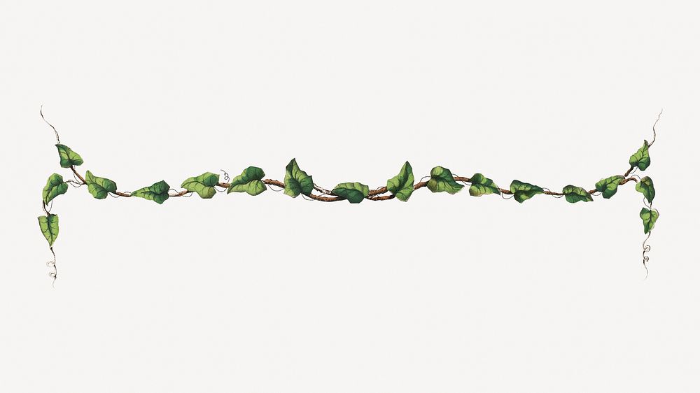 Ornamental leaf branch divider psd.  Remastered by rawpixel