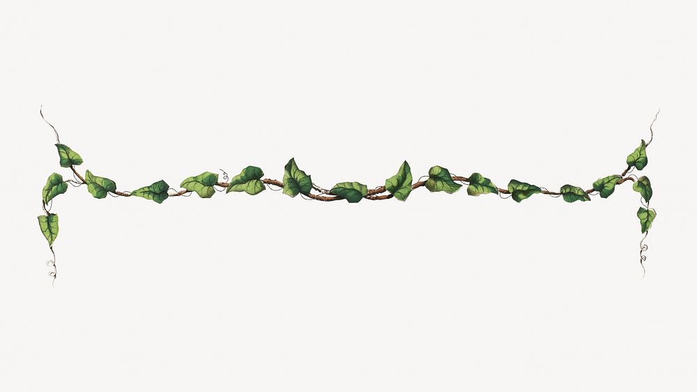 Ornamental leaf branch divider.   Remastered by rawpixel