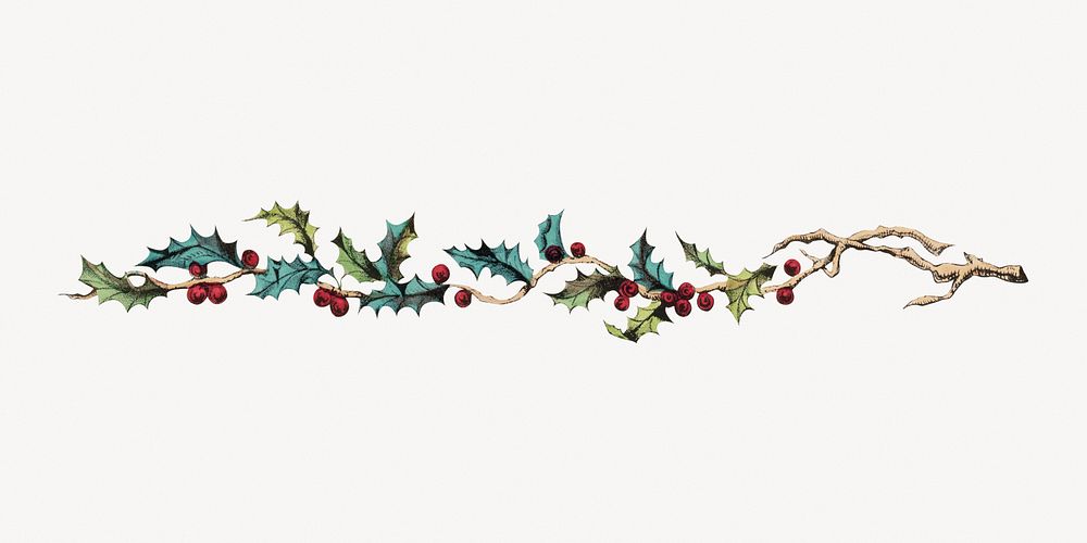 Vintage holly berry ornament divider.   Remastered by rawpixel