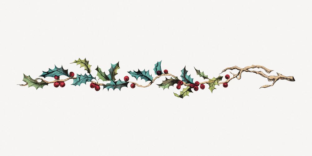 Vintage holly berry ornament divider psd.   Remastered by rawpixel