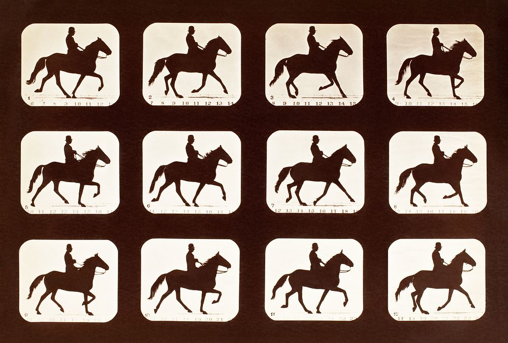 The Amble: One Stride in Eleven Phases (1881) by Eadweard Muybridge. Original public domain image from The Los Angeles…