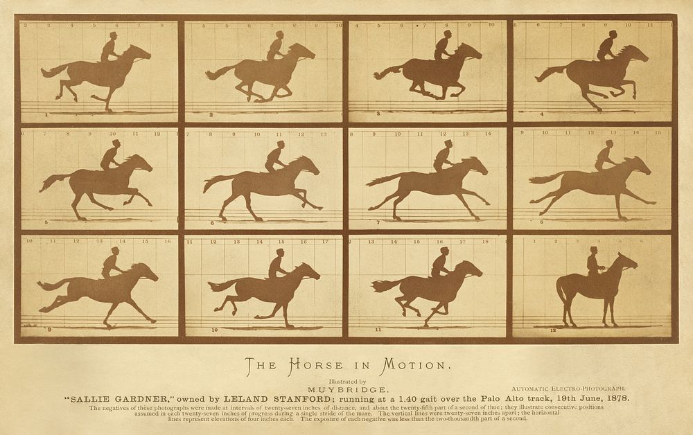 The horse in motion (1878) by Eadweard Muybridge. Original public domain image from the Library of Congress. Digitally…