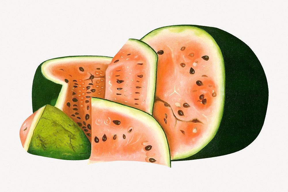 Watermelon, tropical fruit illustration.    Remastered by rawpixel