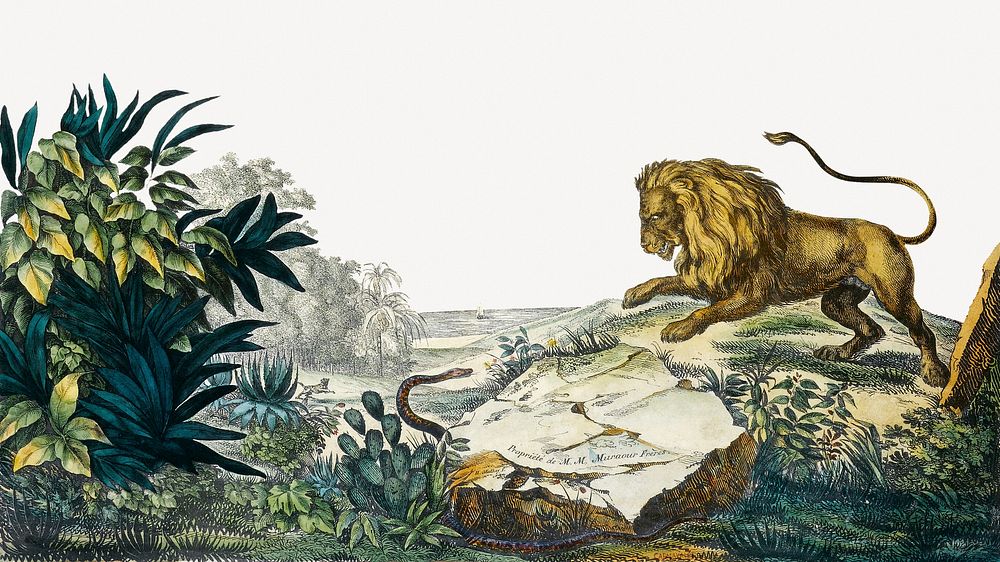 Vintage forest border, vintage lion illustration psd.   Remixed by rawpixel.
