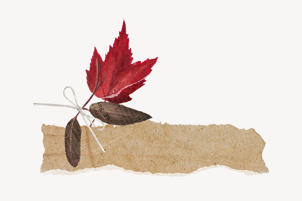 Maple leaf ripped paper collage element