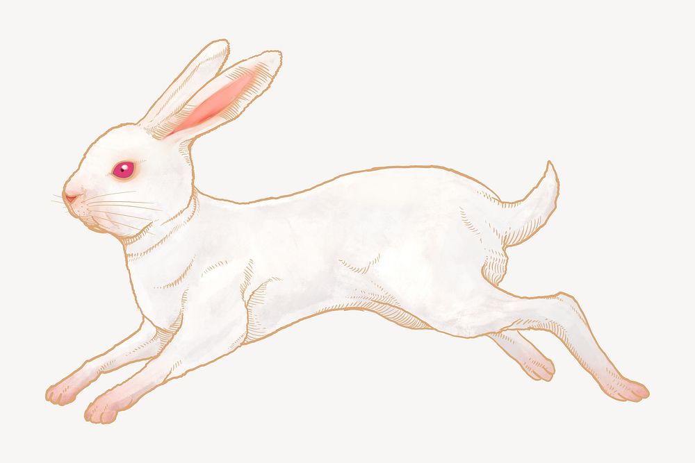 Jumping white rabbit, Chinese zodiac animal illustration