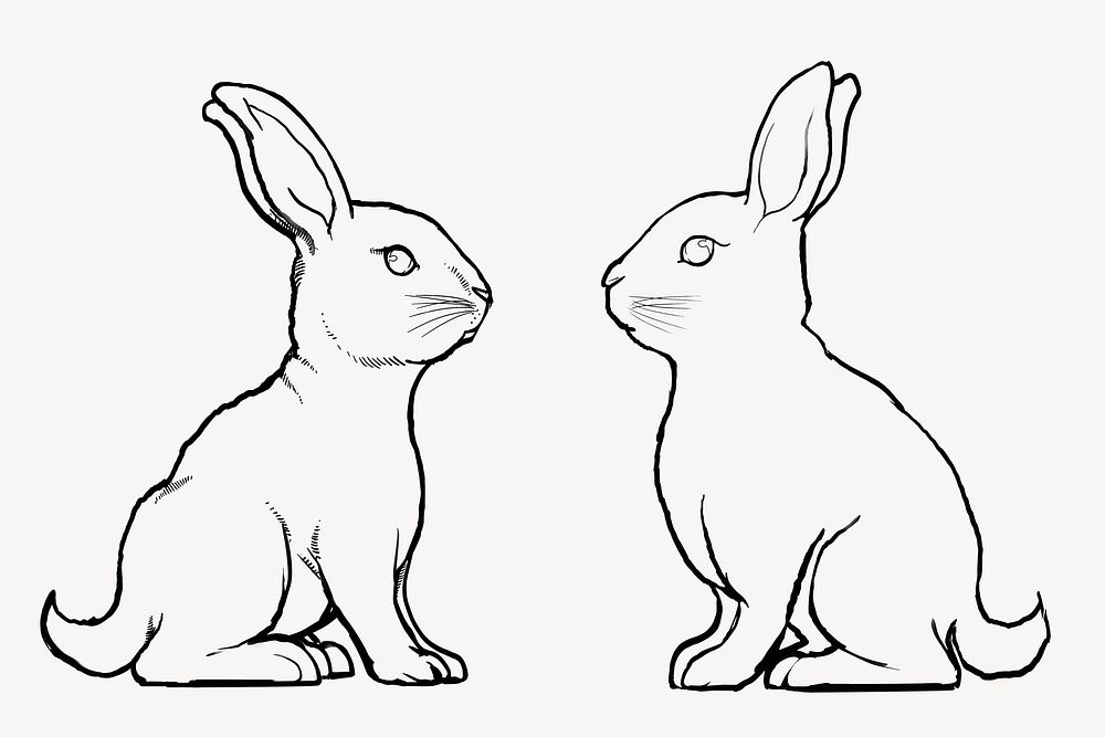 Rabbits, Easter celebration animal in line art design