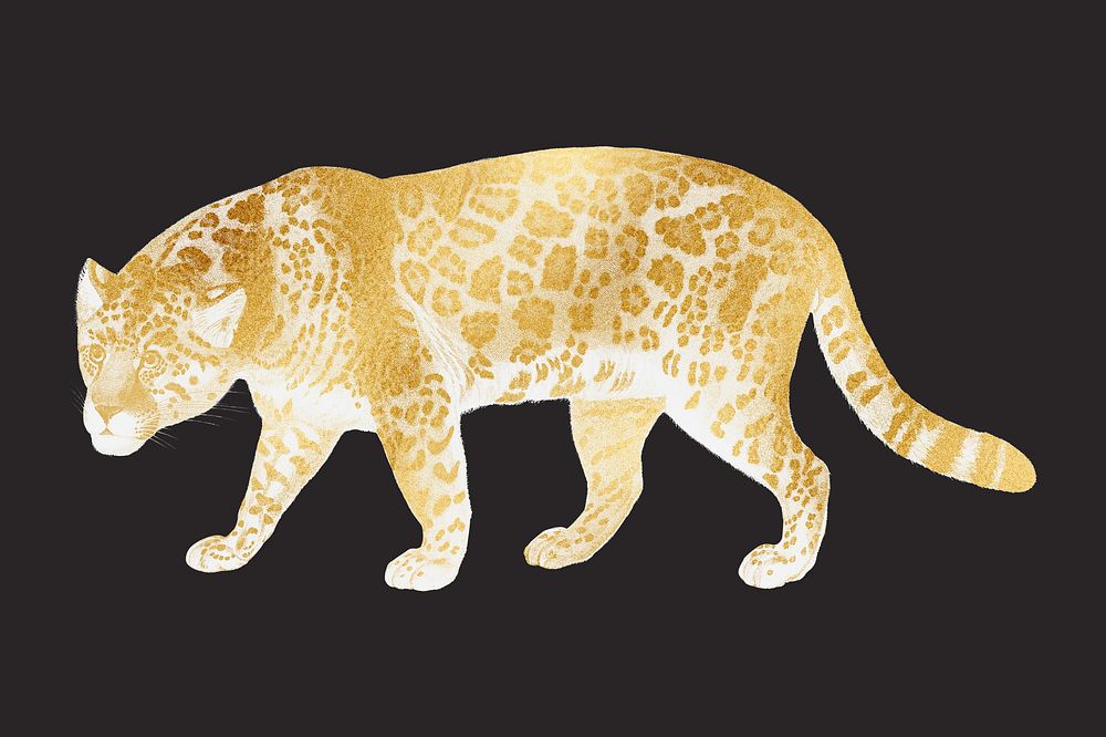 Golden jaguar tiger, wildlife collage element psd